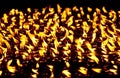 Candles at Boudhanath temple