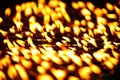 Candles burning at Boudhanath, Kathmandu, Nepal