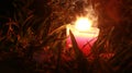 Candles Burning at Night. In the jungle Royalty Free Stock Photo