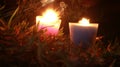 Candles Burning at Night. In the jungle Royalty Free Stock Photo