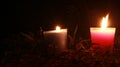 Candles Burning at Night. In the jungle Royalty Free Stock Photo