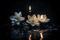 Candles and lilies on wet surface, capturing a moment of quiet contemplation.