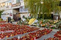 Candles Lit In Memory Of The 32 Dead People And 150 Wounded In The Fire At Club Colectiv Royalty Free Stock Photo