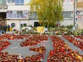 Candles Lit In Memory Of The 32 Dead People And 150 Wounded In The Fire At Club Colectiv Royalty Free Stock Photo