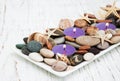 Candles with sea pebbles, starfish and sea shells Royalty Free Stock Photo