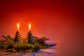 Candles in the shape of Christmas trees on a red background.