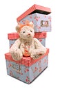 candlewick teddy bear and toy boxes