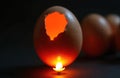 Candling egg showing inside with light. Hatching new life process. New life embryo development eggshell. Light shines through Royalty Free Stock Photo