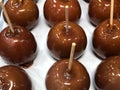 Candy Apples. Royalty Free Stock Photo