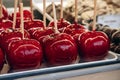 Candy apples in the historic Prater amusement park in Vienna Royalty Free Stock Photo