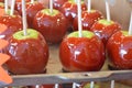 Candy apples Royalty Free Stock Photo