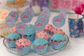 Candy bar with blue and pink glazed muffins. Festive sweets with flamingo bird illustrations for girl birthday party Royalty Free Stock Photo