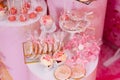 candy bar for the girl's birthday party. pink decor.