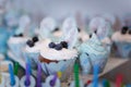 Candy bar for one year old boy first birthday. Muffins with blue creme, blueberries and teddy bear cartoon character illustration