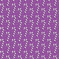 Candy cane seamless christmass striped purple background. Christ