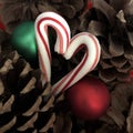 Candy canes and pine cones