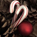 Candy canes and pine cones