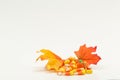 Candy corn pumpkins Halloween Royalty Free Stock Photo