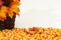 Candy corn pumpkins Halloween Royalty Free Stock Photo