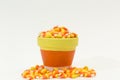 Candy corn pumpkins Halloween Royalty Free Stock Photo