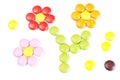 Candy flowers Royalty Free Stock Photo