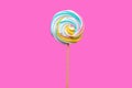 Candy Lollipop for kids and adults on wooden stick on pink background. Sucking sweets for the holiday, sugar confectionery. Royalty Free Stock Photo