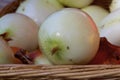 Candy Onions in Basket   836725 Royalty Free Stock Photo