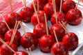 Candy red apples Royalty Free Stock Photo