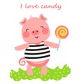 CandyPig