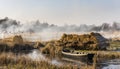 Cane with Boat Giethoorn Royalty Free Stock Photo