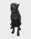 Cane Corso dog - isolated vector illustration