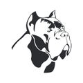 Cane Corso dog logo.