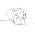 Cane Corso Italian dog breed, companion dog, guard dog, service dog one line art. Continuous line drawing of friend, dog