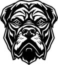 Cane corso - minimalist and flat logo - vector illustration Royalty Free Stock Photo
