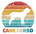 Cane Corso vintage color