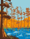 Cane Creek State Park with Bayou Bartholomew on North Bank of Cane Creek Lake Arkansas WPA Poster Art