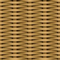 Cane flat woven fiber seamless pattern