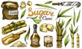 Cane sugar with leaves. Set of Sugarcane plants. Stalks and bottle of rum, Wooden plate spoon, Cubes and juice, Bamboo