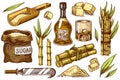 Cane sugar with leaves. Set of Sugarcane plants. Stalks and bottle of rum, Wooden plate spoon, Cubes and juice, Bamboo