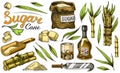 Cane sugar with leaves. Set of Sugarcane plants. Stalks and bottle of rum, Wooden plate spoon, Cubes and juice, Bamboo