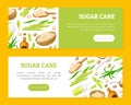Cane Sugar Natural Product Banner Design Vector Template