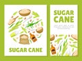 Cane Sugar Natural Product Banner Design Vector Template