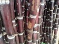 Cane sugar red and black stam of trees