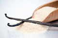 Cane Sugar and Vanilla Beans Royalty Free Stock Photo