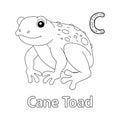 Cane Toad Alphabet ABC Coloring Page C