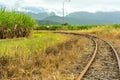 Cane train narrow railway track in rural Queensland, Australia