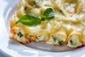 Canelloni stuffed with ricotta Royalty Free Stock Photo