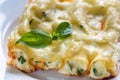 Canelloni stuffed with ricotta Royalty Free Stock Photo