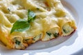 Canelloni stuffed with ricotta Royalty Free Stock Photo