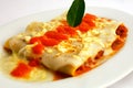 Canelones bolognese Royalty Free Stock Photo
